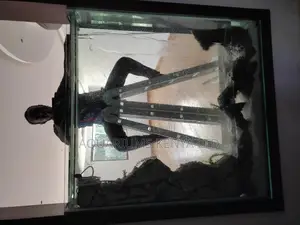Custom Made Aquarium Professional in Kenya