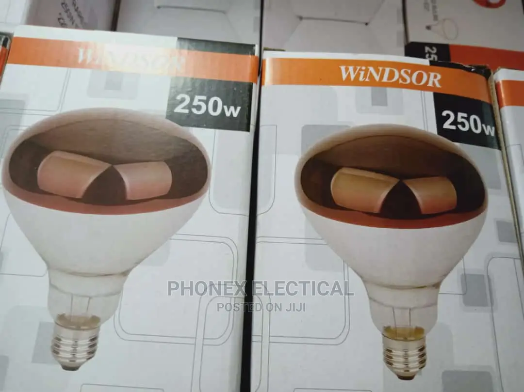 Chicken Bulbs