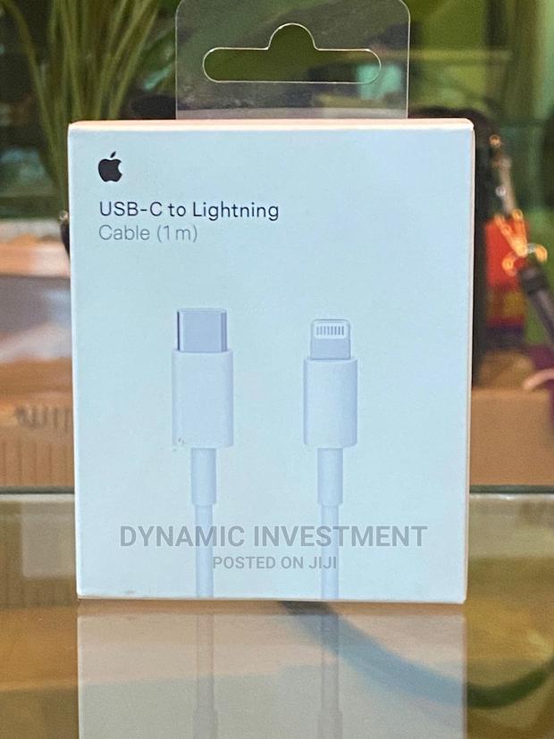 Original Type C to Lightning Apple iPhone Cable - main view