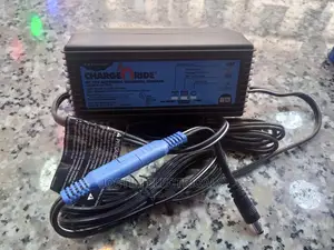 Automatic Universal Charger