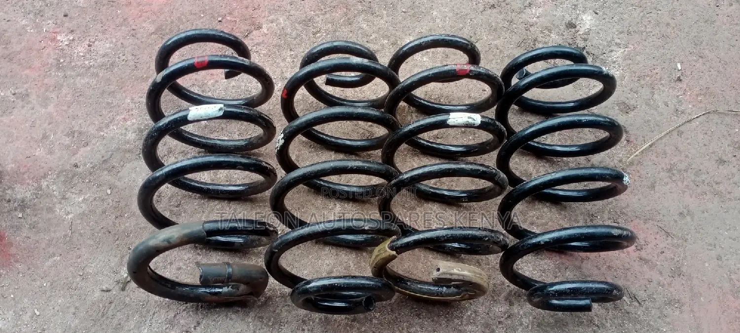 Toyota Noah/Voxy Heavy Duty Springs New Shape