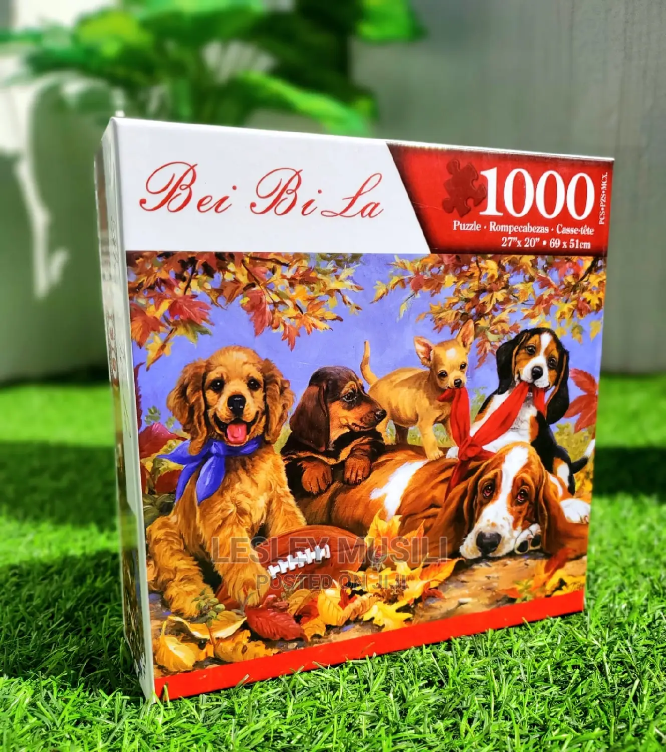 1000 Pieces Puzzle