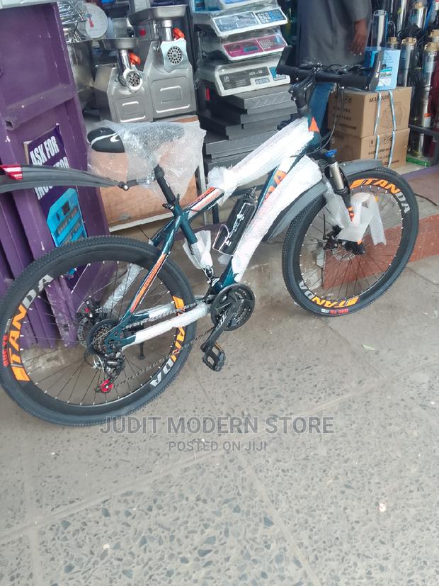 Affordable Adult Bike