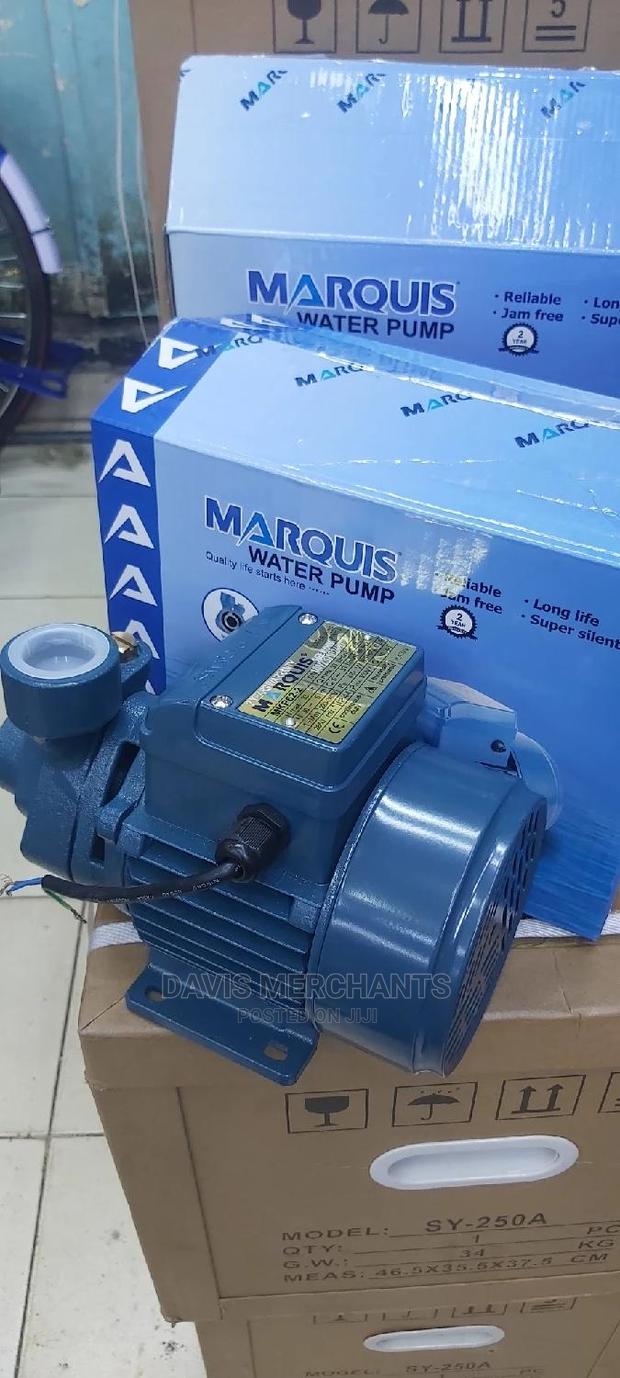 Booster Pump With 33M Head - thumbnail 2