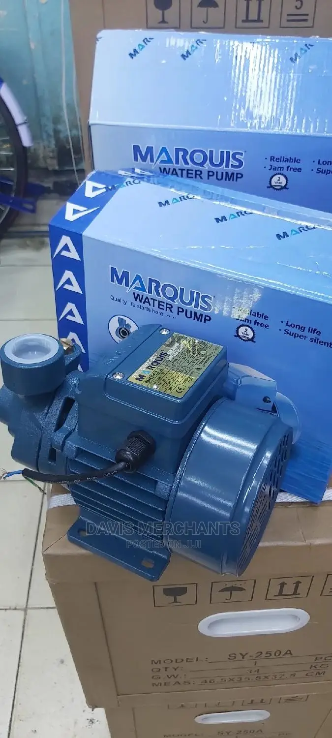 Booster Pump With 33M Head