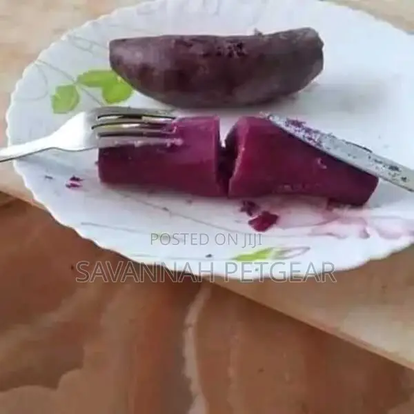 Purple Sweet Potato Planting Vines Available (200 Vines)