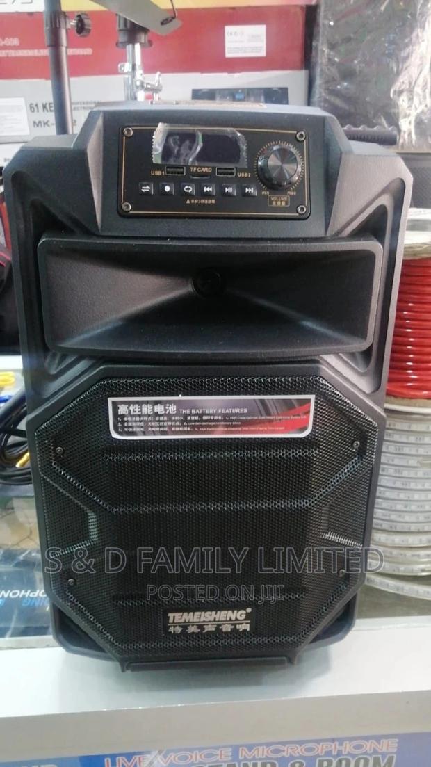 Temeisheng 10 Inch Powered Speaker - main view