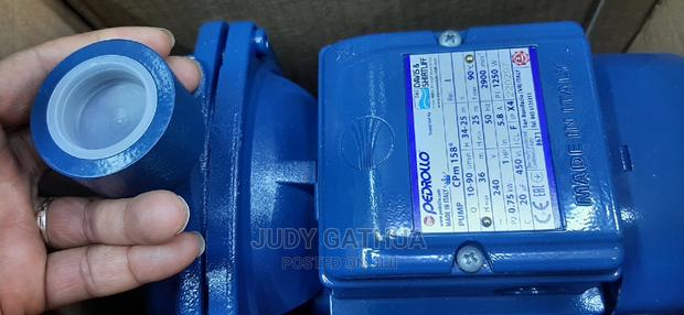 PEDROLLO 1hp - main view