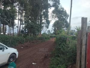 Karatina / Giakaibei 1/2 Developed - thumbnail 2