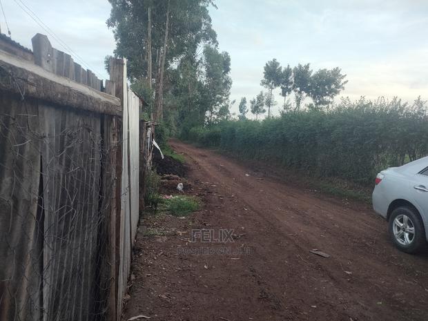 Karatina / Giakaibei 1/2 Developed - thumbnail 3