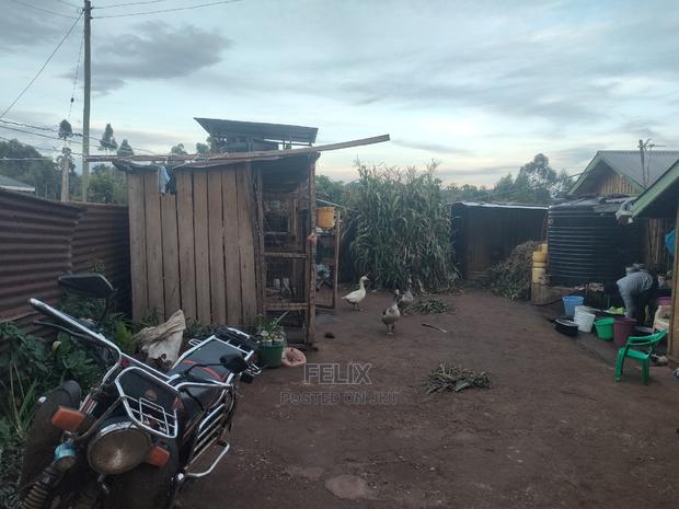 Karatina / Giakaibei 1/2 Developed - thumbnail 4