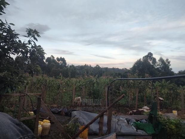 Karatina / Giakaibei 1/2 Developed - thumbnail 7