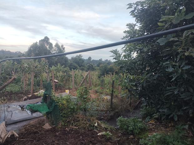 Karatina / Giakaibei 1/2 Developed - thumbnail 8