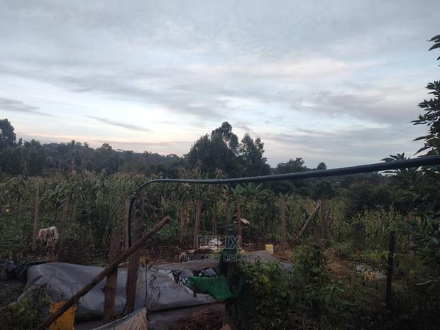 Karatina / Giakaibei 1/2 Developed - thumbnail 9