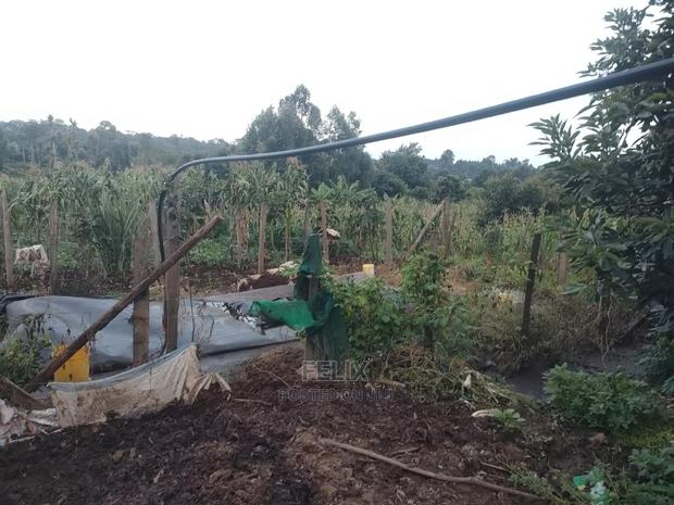 Karatina / Giakaibei 1/2 Developed - thumbnail 11