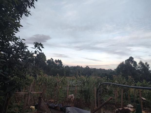 Karatina / Giakaibei 1/2 Developed - thumbnail 10