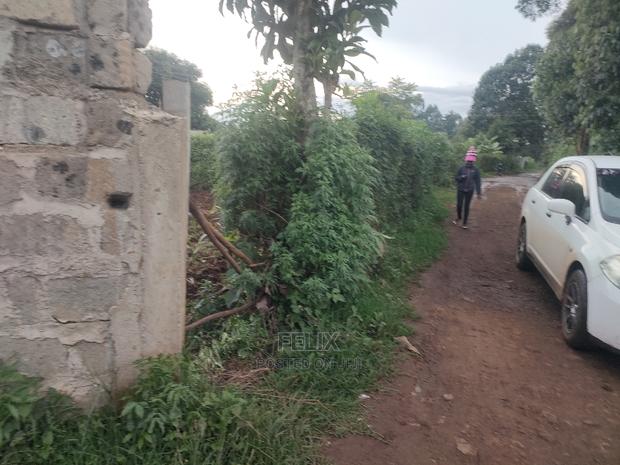 Karatina / Giakaibei 1/2 Developed - thumbnail 12