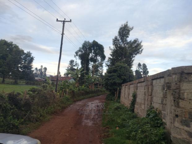 Karatina / Giakaibei 1/2 Developed - thumbnail 14