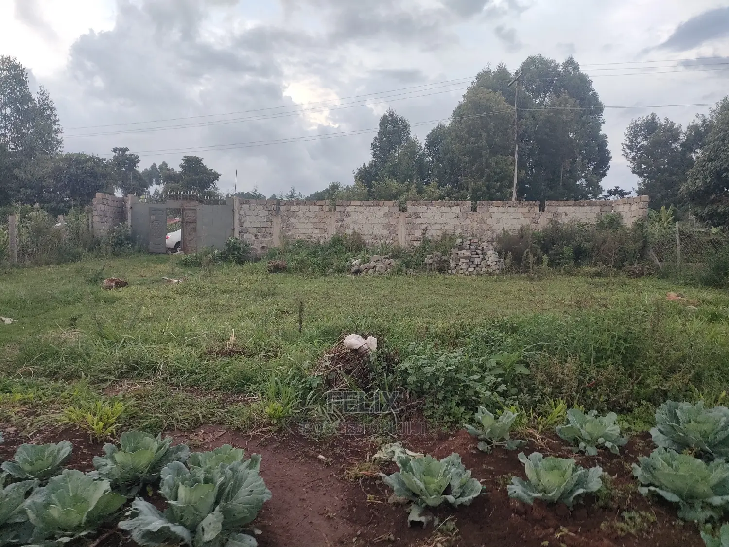 Karatina /Giakibei 1 Acre