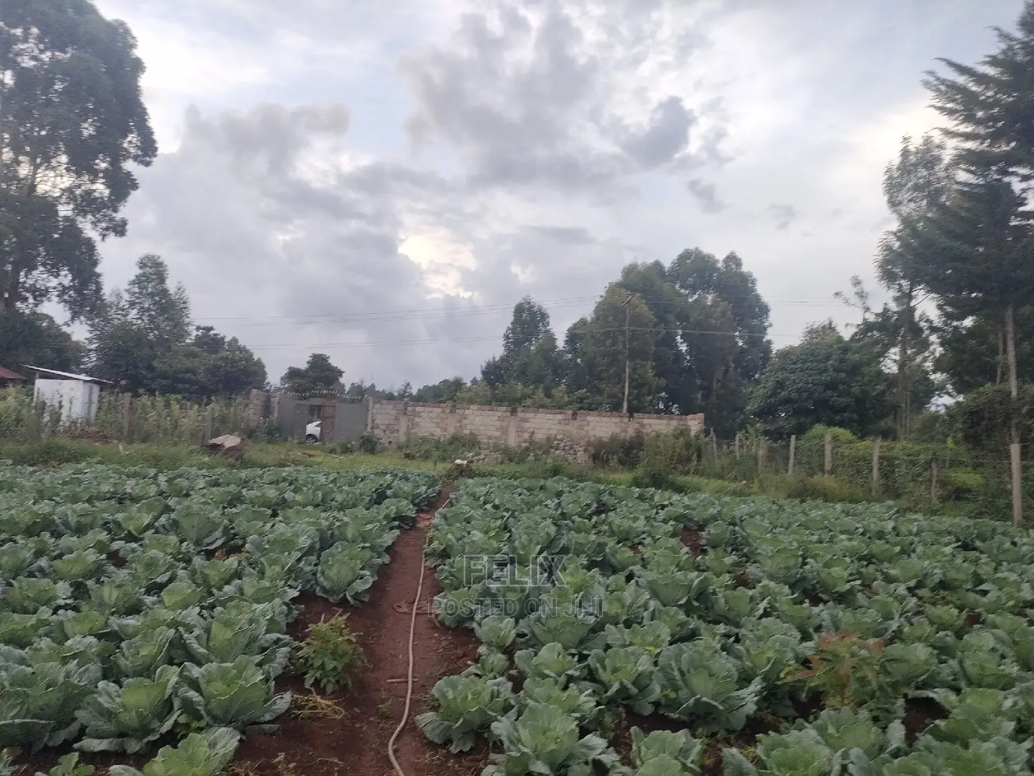 Karatina /Giakibei 1 Acre