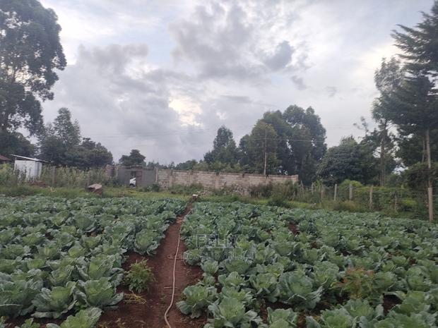 Karatina /Giakibei 1 Acre - thumbnail 7