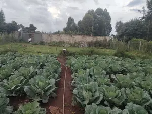 Karatina /Giakibei 1 Acre