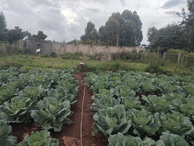 Karatina /Giakibei 1 Acre - thumbnail 6