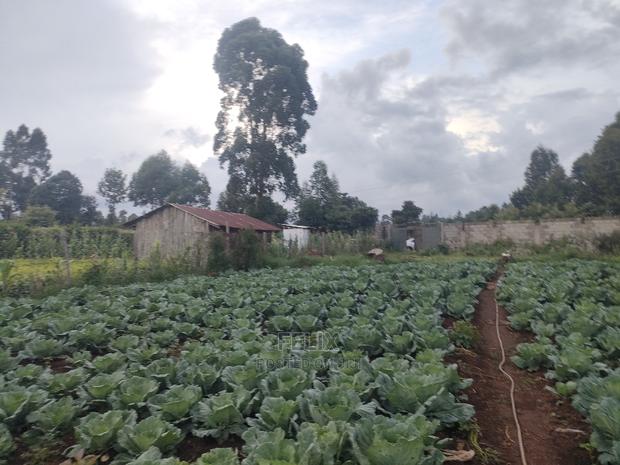 Karatina /Giakibei 1 Acre - thumbnail 8