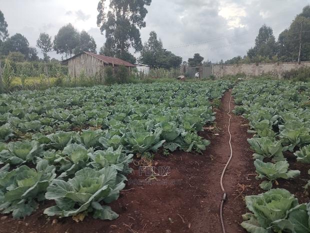 Karatina /Giakibei 1 Acre - thumbnail 9