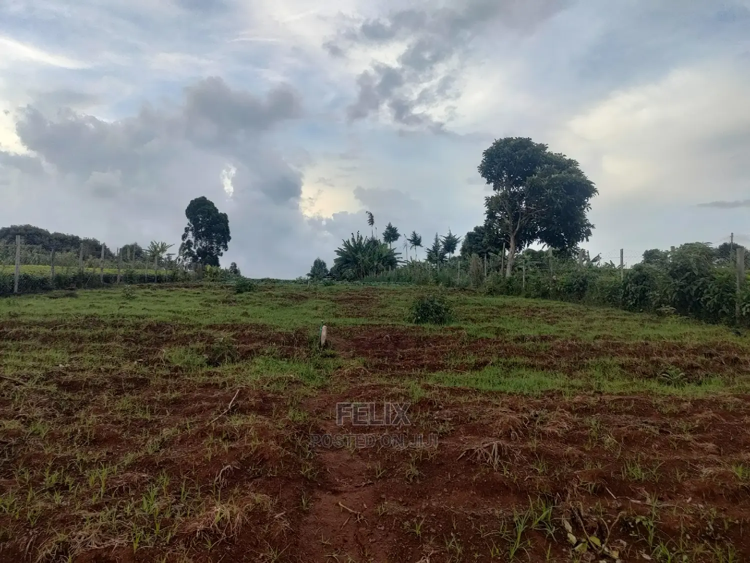 Karatina /Giakibei 1 Acre