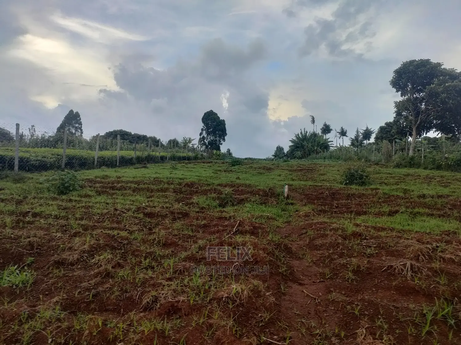 Karatina /Giakibei 1 Acre