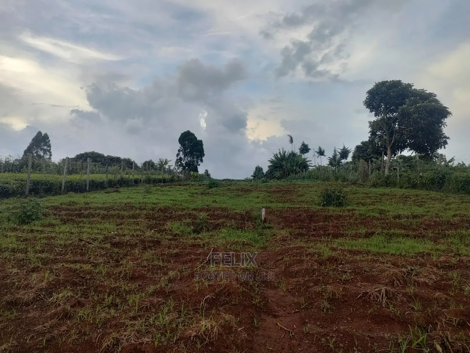 Karatina /Giakibei 1 Acre