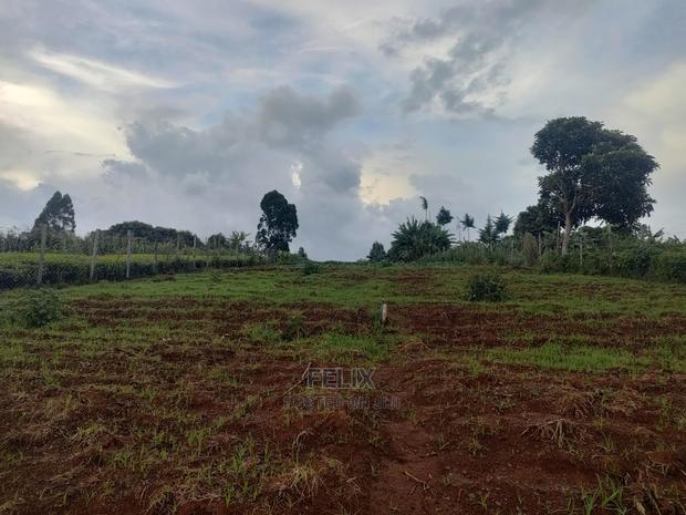 Karatina /Giakibei 1 Acre - thumbnail 14