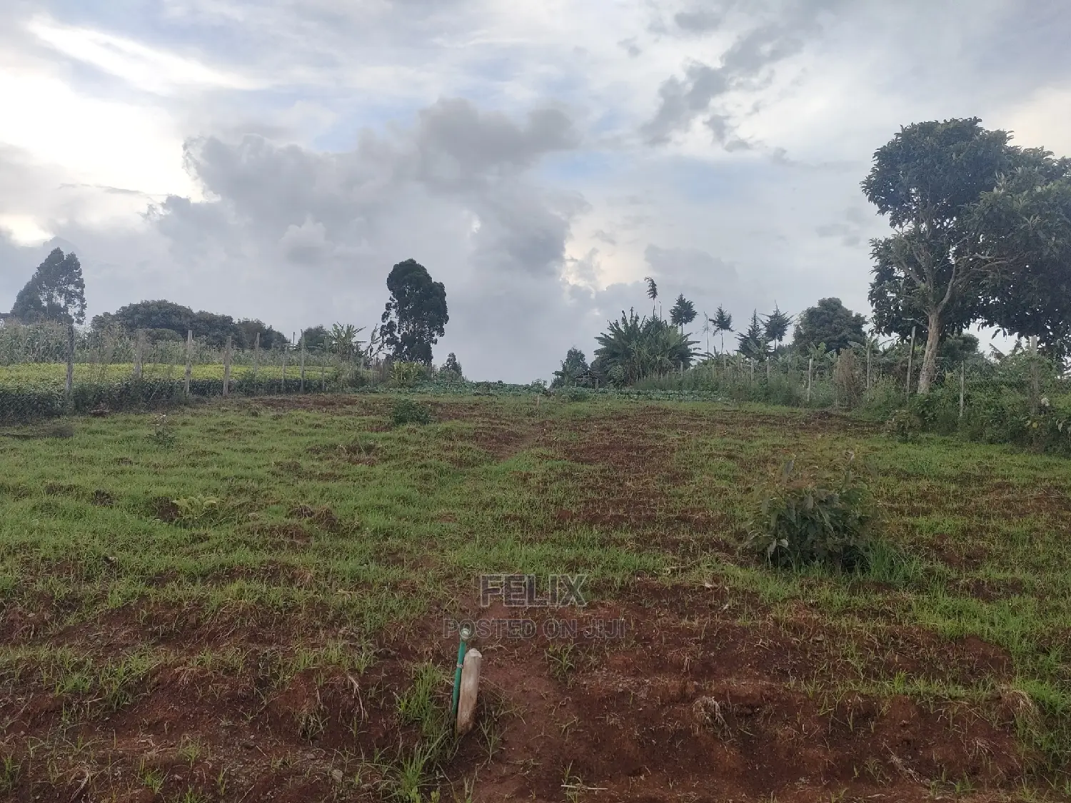 Karatina /Giakibei 1 Acre