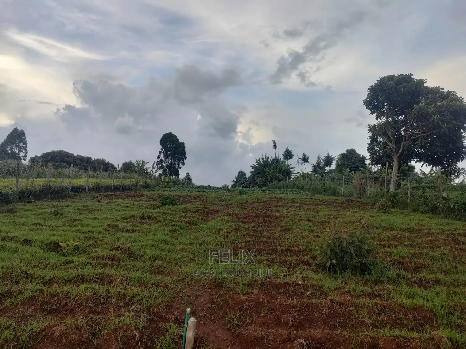 Karatina /Giakibei 1 Acre