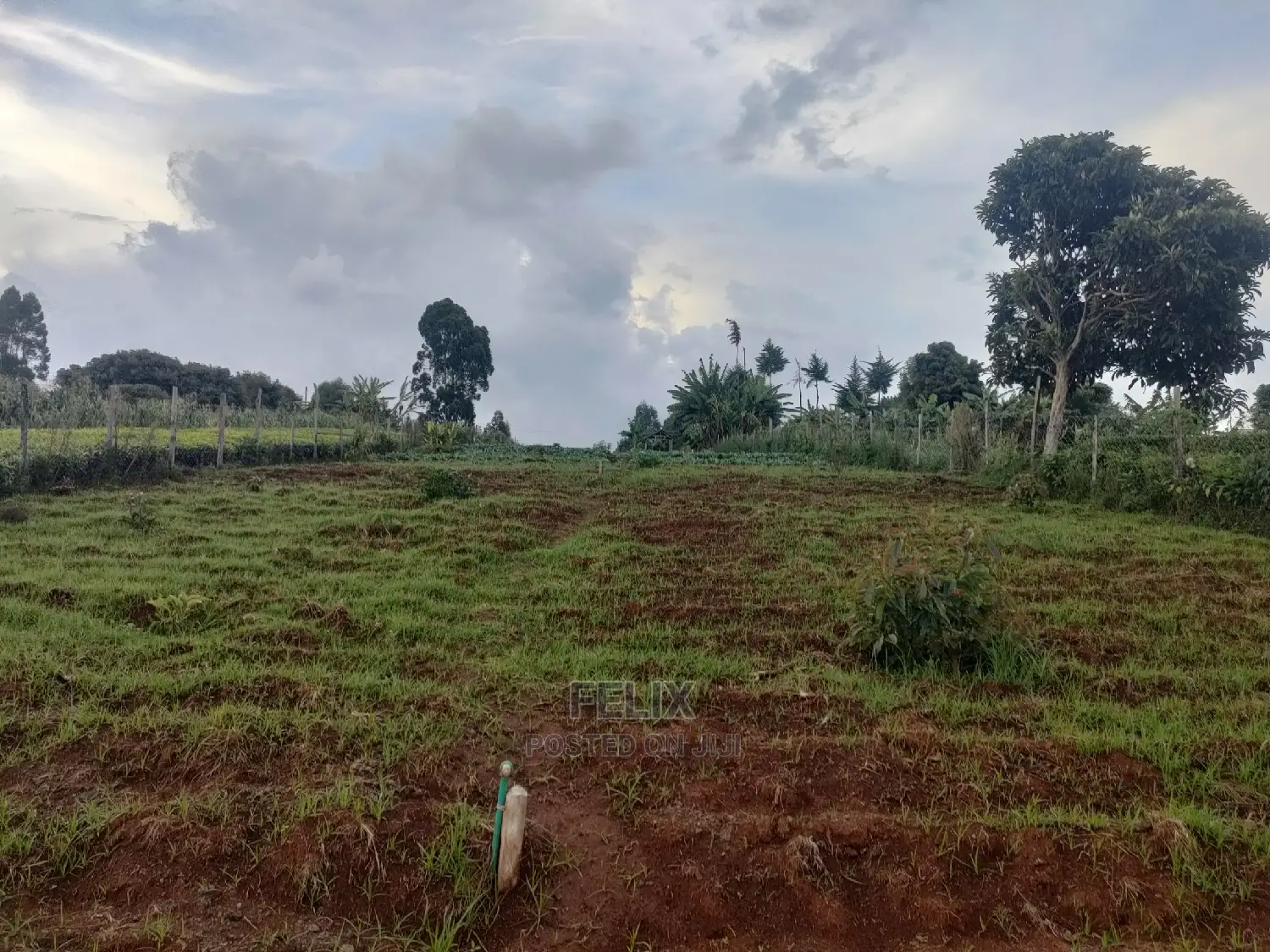 Karatina /Giakibei 1 Acre