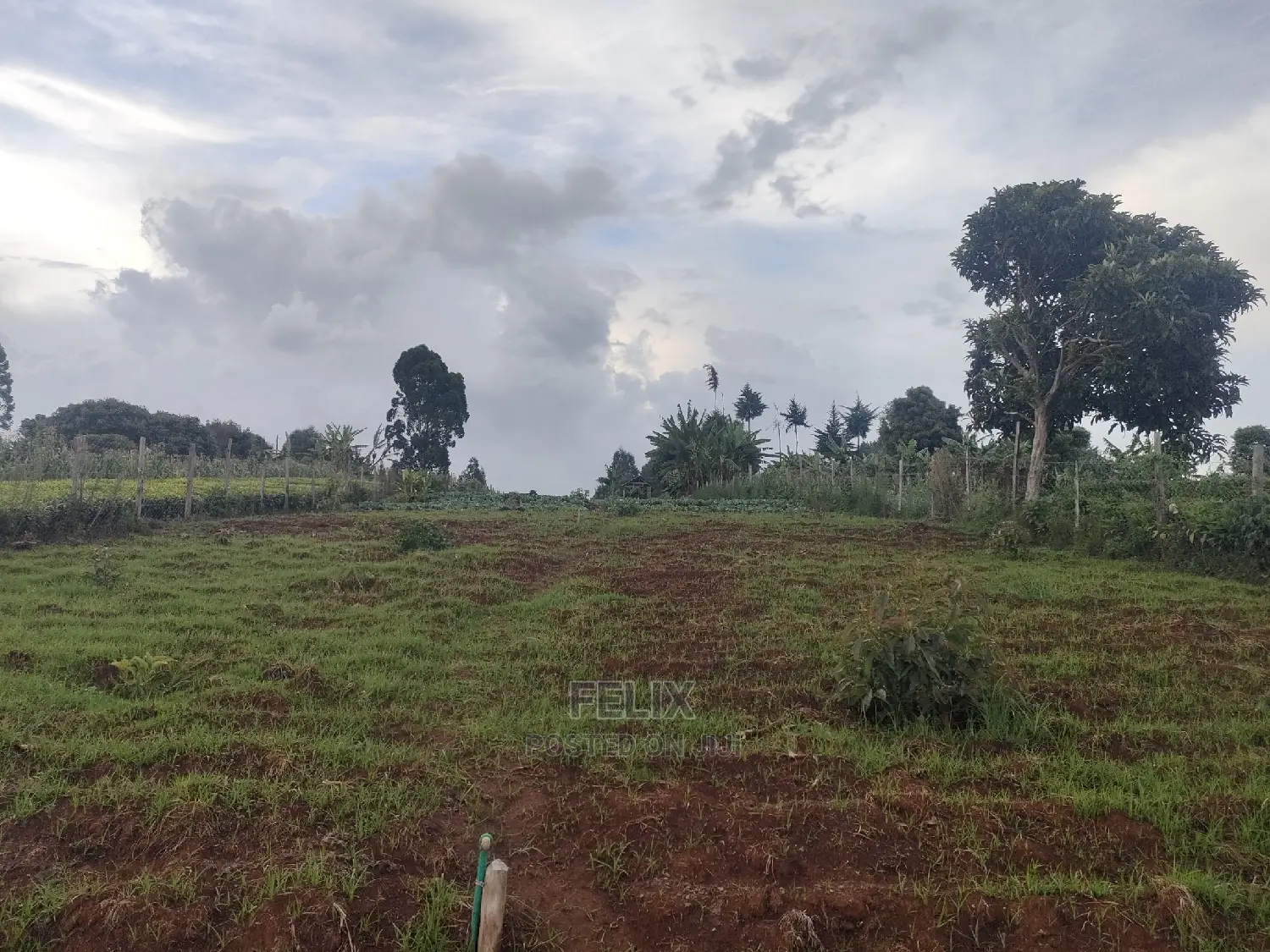 Karatina /Giakibei 1 Acre