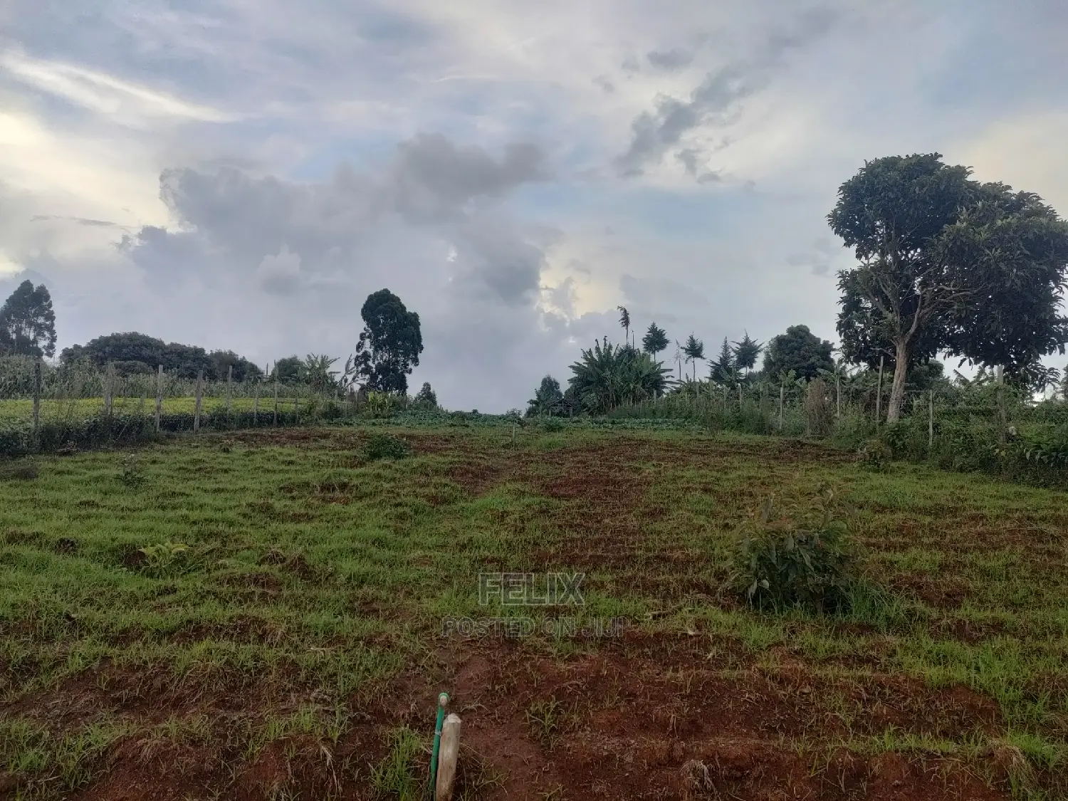 Karatina /Giakibei 1 Acre