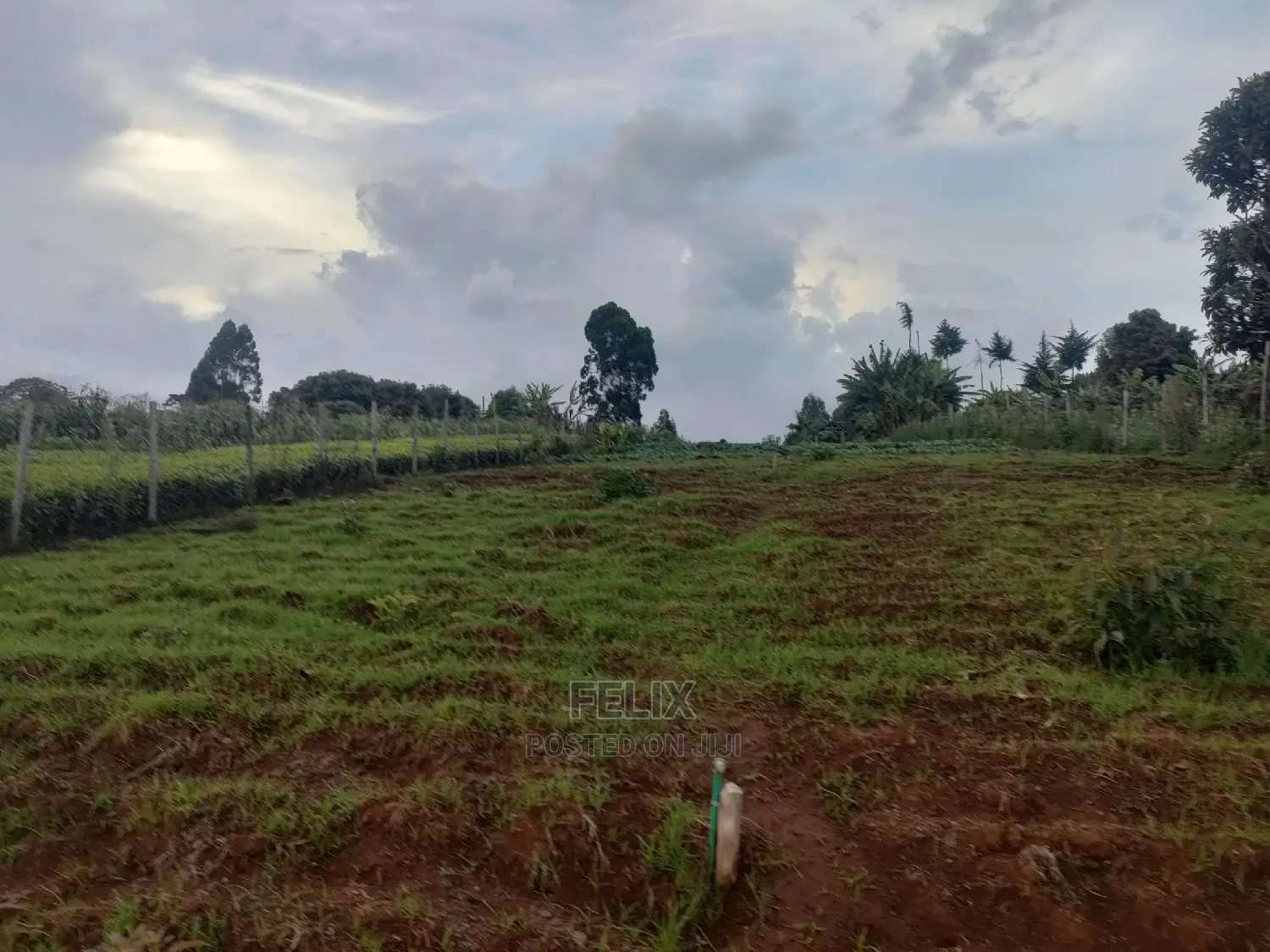 Karatina /Giakibei 1 Acre