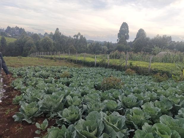 Karatina /Giakibei 1 Acre - thumbnail 21