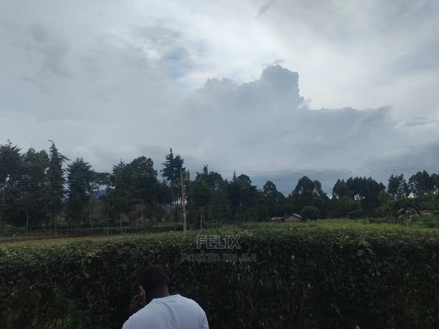 Karatina/Gitunduti 1 Acre