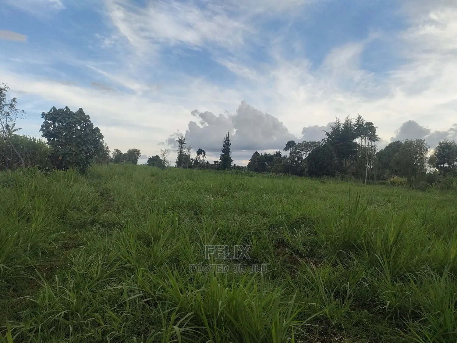 Karatina/Gitunduti 1 Acre