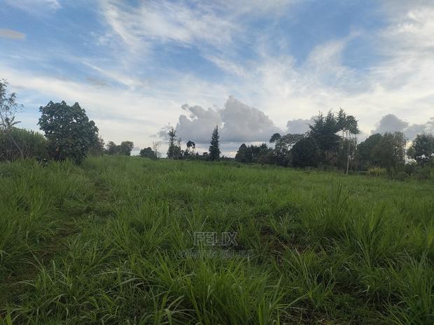 Karatina/Gitunduti 1 Acre - thumbnail 2