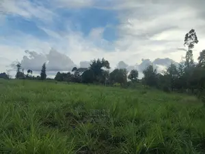Karatina/Gitunduti 1 Acre