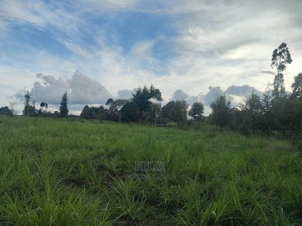 Karatina/Gitunduti 1 Acre - thumbnail 3