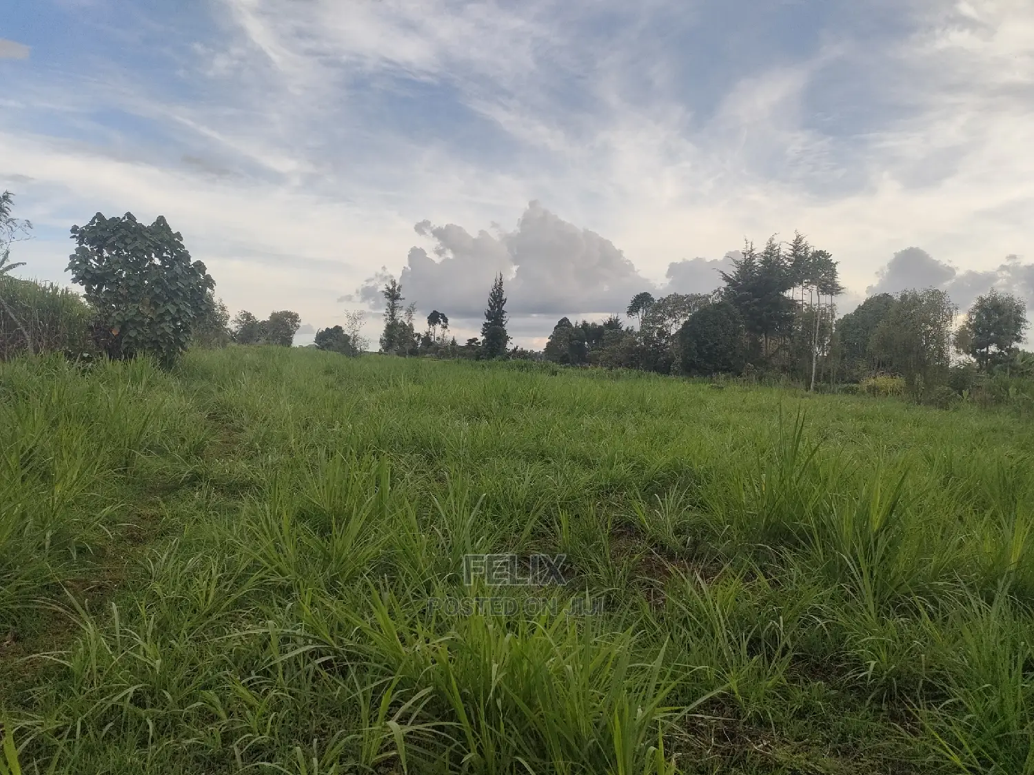 Karatina/Gitunduti 1 Acre