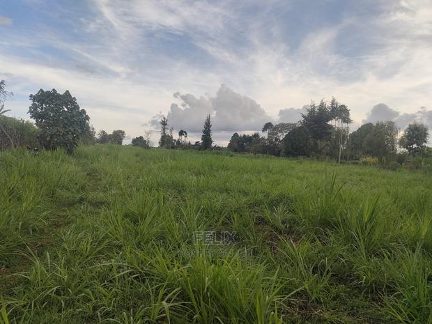 Karatina/Gitunduti 1 Acre - thumbnail 4