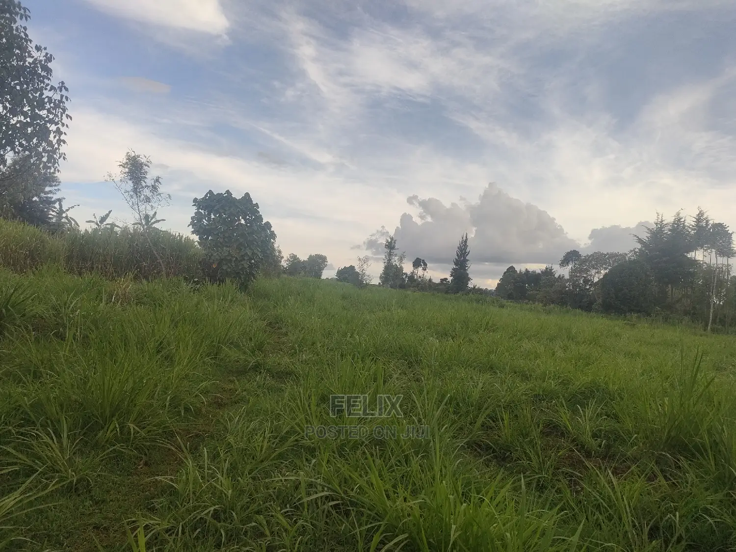 Karatina/Gitunduti 1 Acre