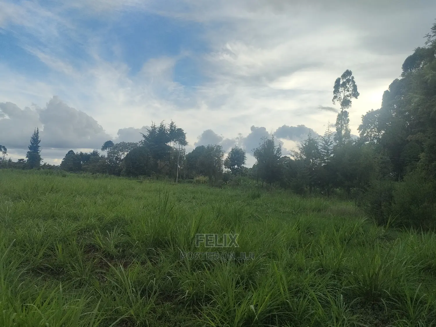 Karatina/Gitunduti 1 Acre