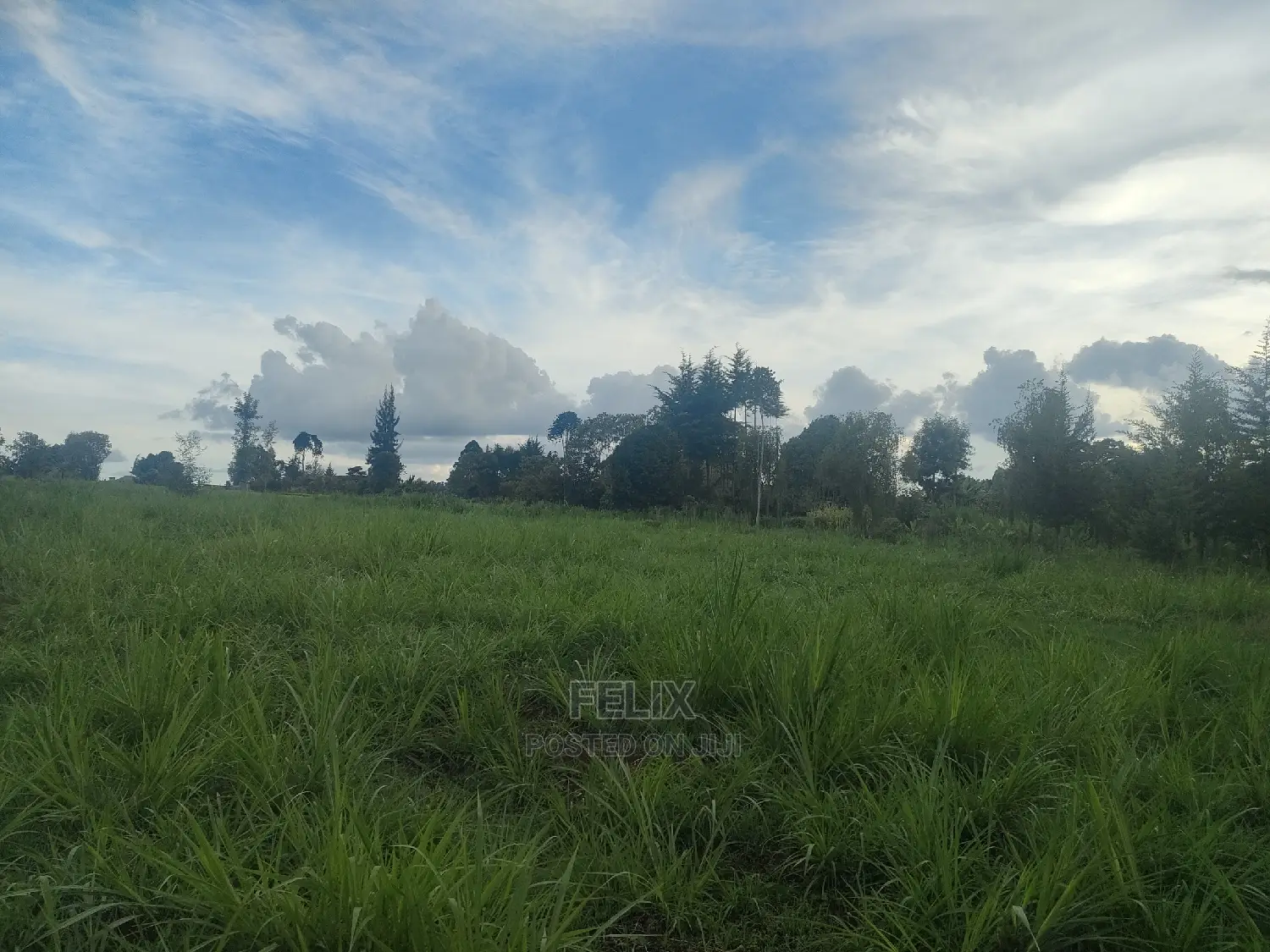 Karatina/Gitunduti 1 Acre